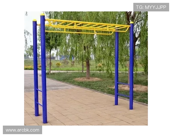 健身器材在素质教育中的作用与学校配置建议 健身器材在素质教育中的作用与学校配置建议